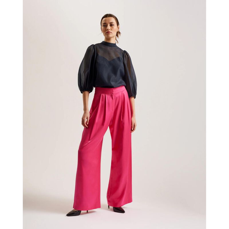 Ted Baker Frias Sheer Organza Top With Balloon Sleeves image number 3
